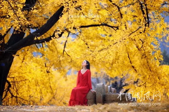 QQ截图20181017182447.png