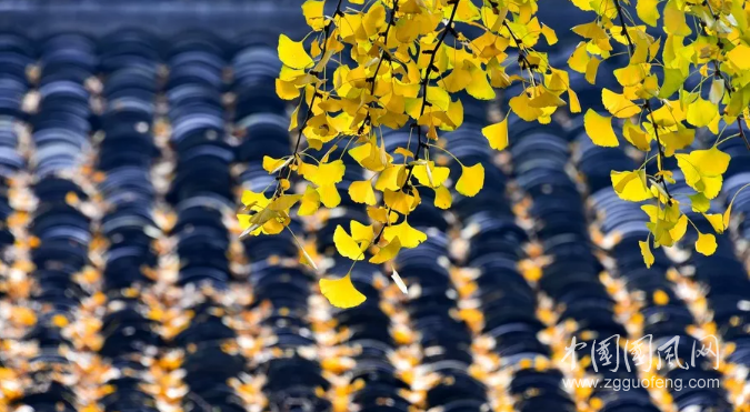 季节寒凉，不灭梦想