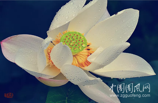  计然之策，古今一理