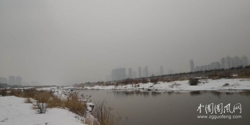 QQ图片20190215172625.jpg