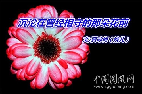  沉沦在曾经相守的那朵花前（文  贾咏梅）