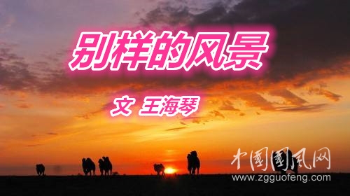  别样的风景（文  王海琴）
