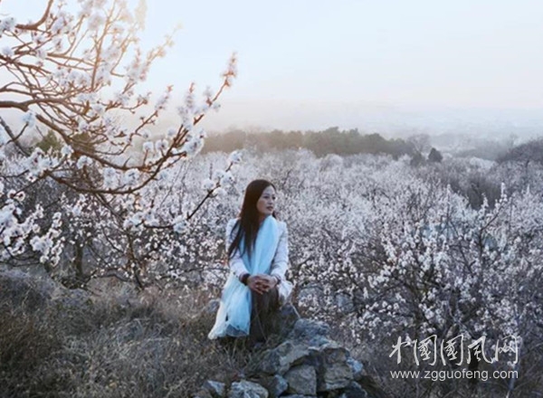 微信图片_20190318104500.jpg