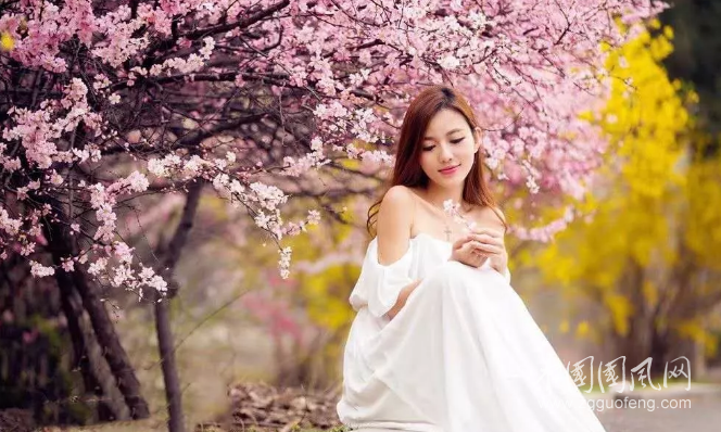 QQ截图20190403140736.png