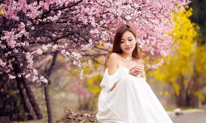 QQ截图20190403140736.png