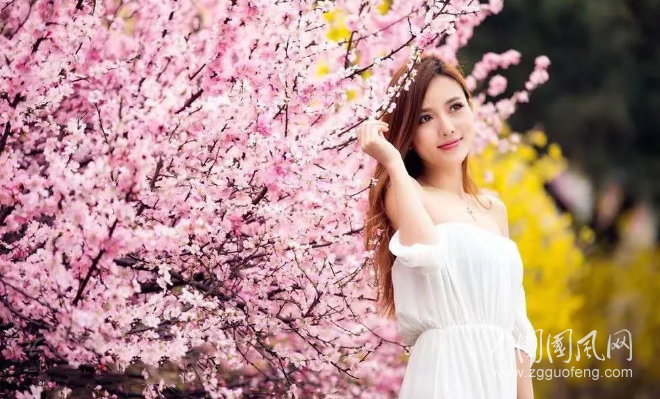 QQ截图20190403140751.png