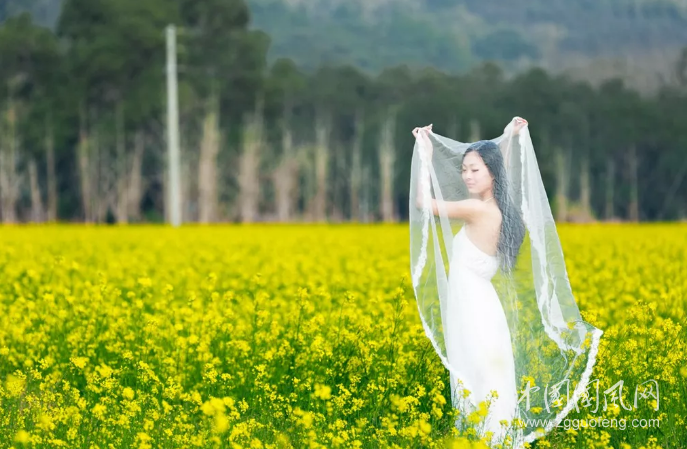 QQ截图20190412181745.png