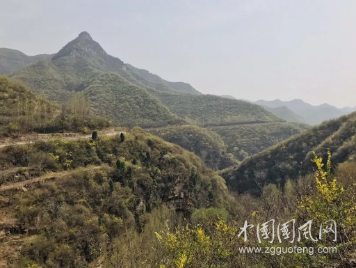 QQ截图20190413143444.png