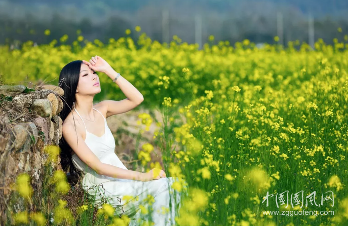 QQ截图20190412181801.png