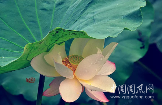QQ截图20190426182657.png