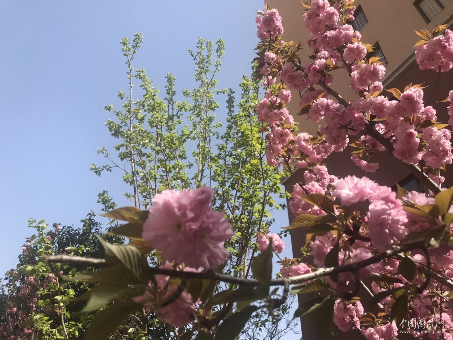 QQ图片20190428160644.jpg