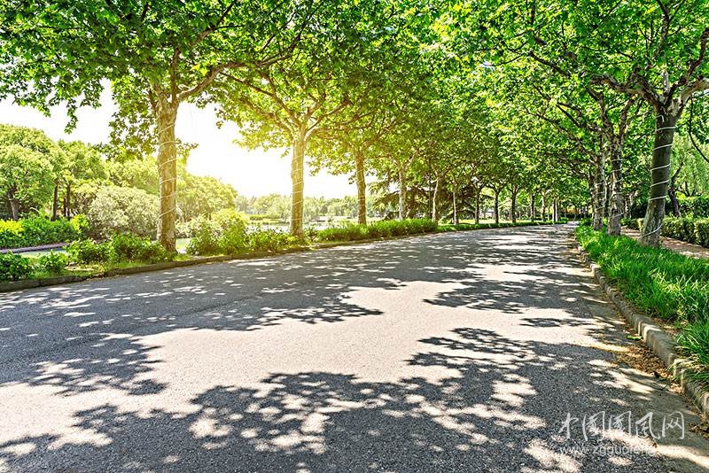 通往夏天的路