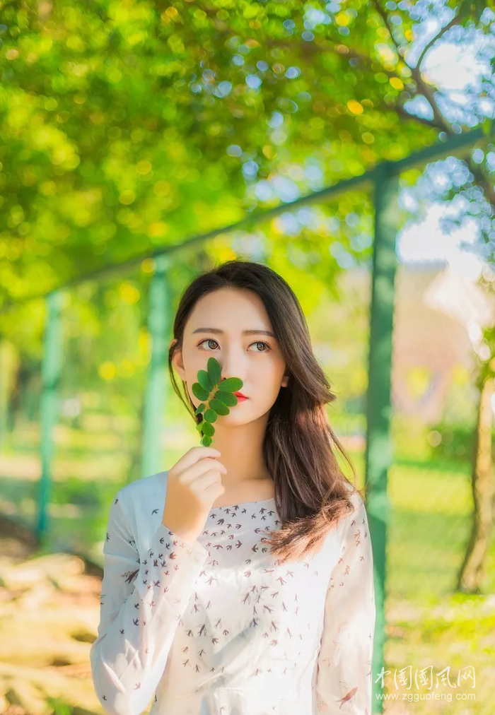 QQ截图20190510175230.png