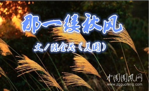  那一缕秋风（文／陈金茂）