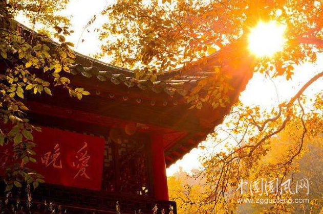 QQ截图20190921150924.png