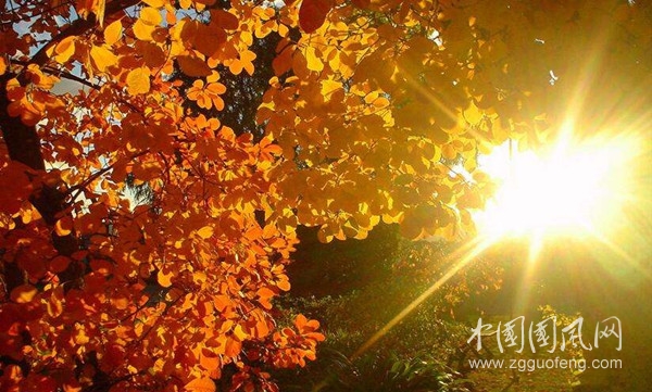  瞬间    （文/青春鸟·新疆)