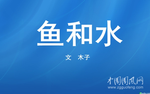 ntk-1842-5488.jpg