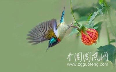 f51279cb84a132f2ab55afe13cfe0a10_t01800e2f30c07c204c.jpg