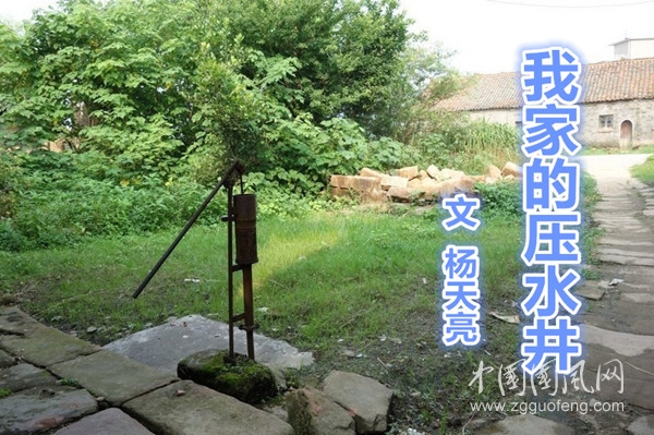  我家的压水井（文 杨天亮）