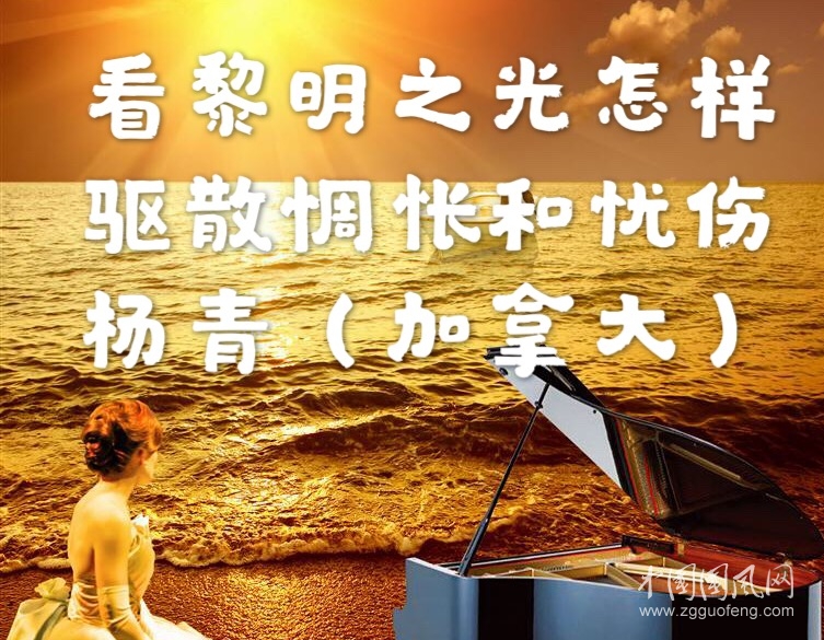 看黎明之光怎样驱散惆怅和忧伤（杨青 加拿大）