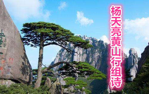 杨天亮黄山行组诗(三)