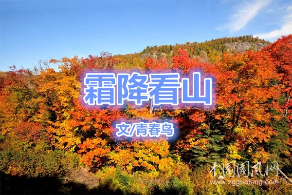  霜降看山(文/青春鸟)