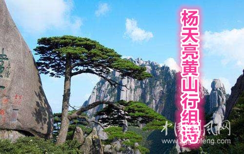   杨天亮黄山行组诗(四)