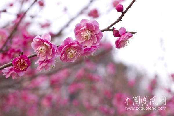 5e952a5949e80900baade23feb4a2c6d_t018c6485df1a36f5fd_副本.jpg