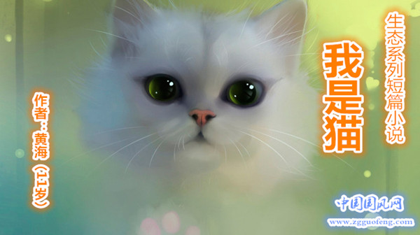 我是猫.生态系列短篇小说（二）