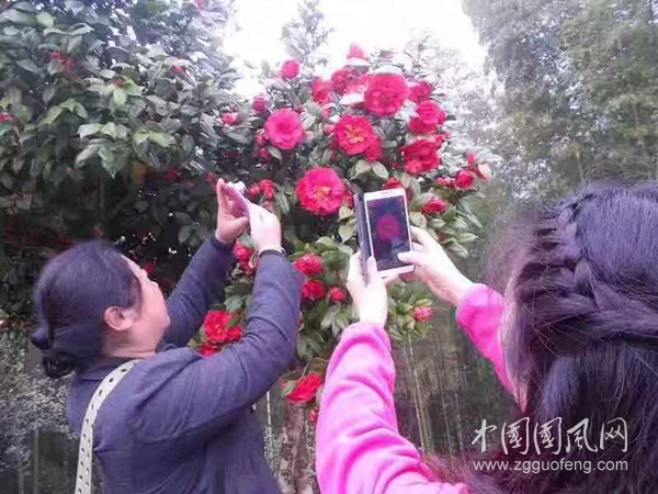 8e4367a83f757945cf0f048ed9d1fef_副本.jpg