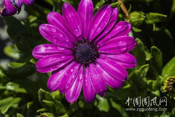 c9f30cd9a071866d5b35970bf9f62a1d_t01e7b4a863ca7a3282_副本.jpg