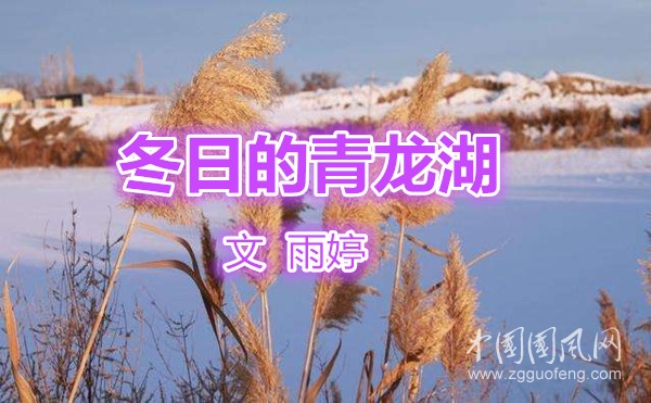 冬日的青龙湖（外二首·文  雨婷）