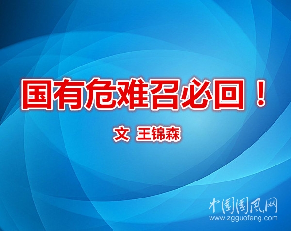  国有危难召必回（文 王锦森）