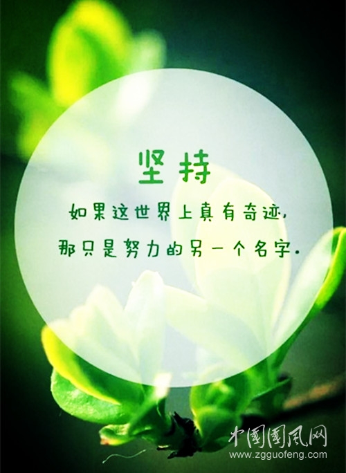 9840a5928ea540d48102335e3775ac13_副本.jpg