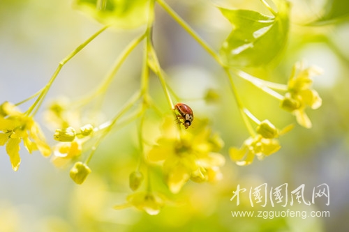 1e0d6fa58e794811b55b73725c7589ad_副本.jpg