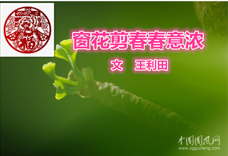 窗花剪春春意浓（文  王利田）