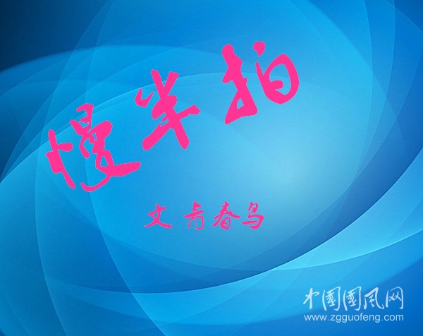 慢半拍（文/青春鸟 · 新疆）