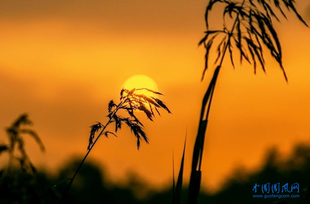 src=http___www.hnpictures.com_upload_img_20171009_6364317967863181408010865.jpg&refer=http___www.hnpictures.jpg