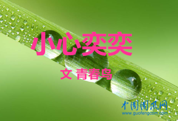 小心奕奕（文/青春鸟  ）