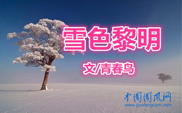  雪色黎明（文/青春鸟）