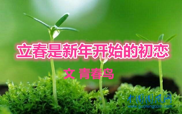  立春是新年开始的初恋