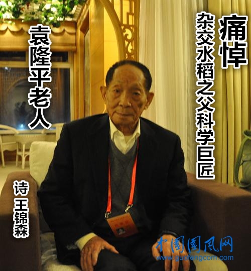  痛悼杂交水稻之父科学巨匠袁隆平老人(文  王锦森）
