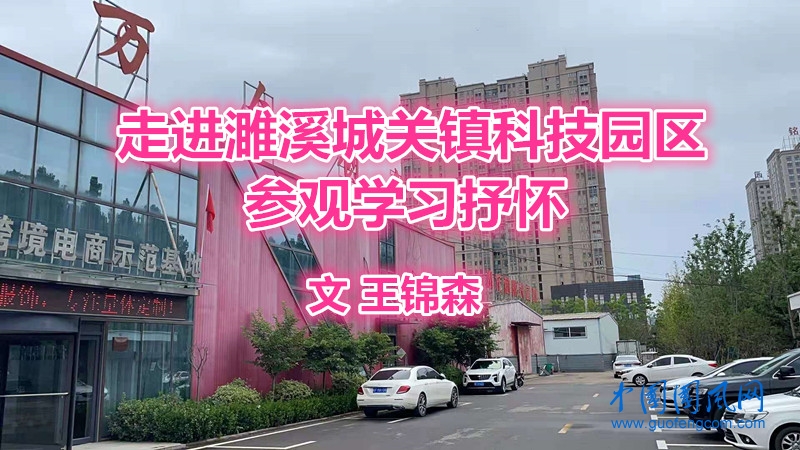  走进濉溪城关镇科技园区参观学习抒怀（文  王锦森）