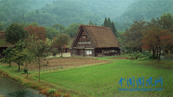 05.jpg