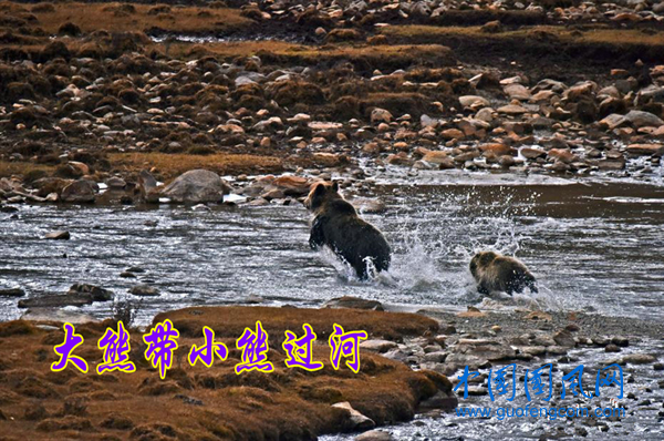 图片6.png