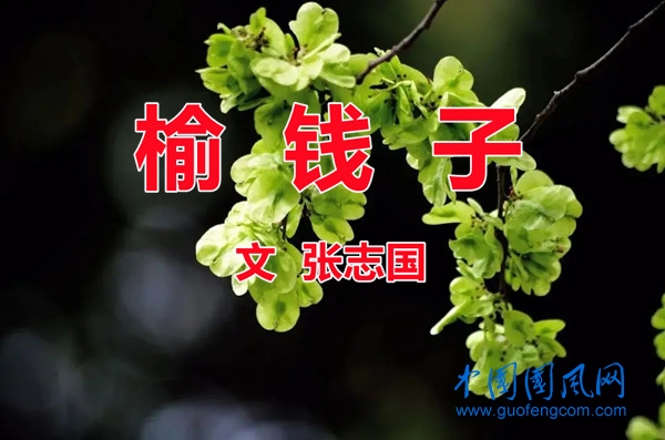 src=http___imagepphcloud.thepaper.cn_pph_image_126_22_615.jpg&refer=http___imagepphcloud.thepaper.webp.jpg