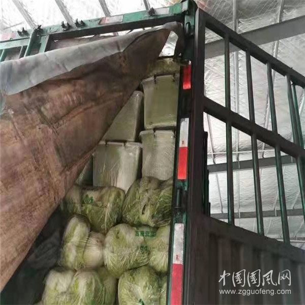 082a591f1ae2d115b48fe26d2434a77_副本.jpg