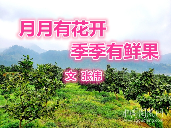 月月有花开，季季有鲜果