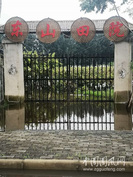  葡萄熟了，大水淹了，果农哭了！
