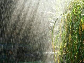 雨水时节的养生重点